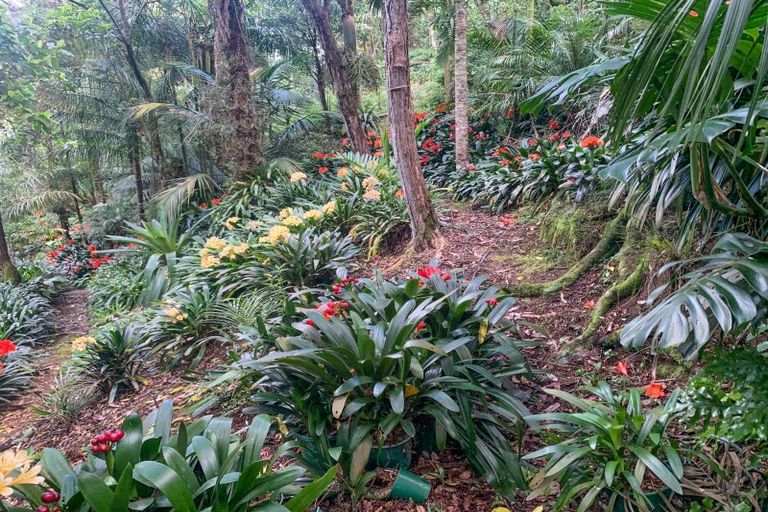 Photo of property in 111 Old Reservoir Road, Karangahake, Paeroa, 3674