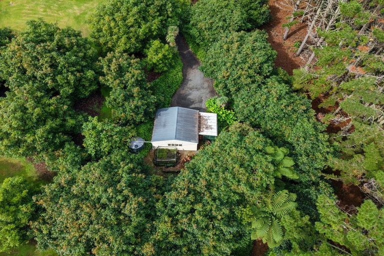 Photo of property in 14 Tupelo Place, Ohauiti, Tauranga, 3112