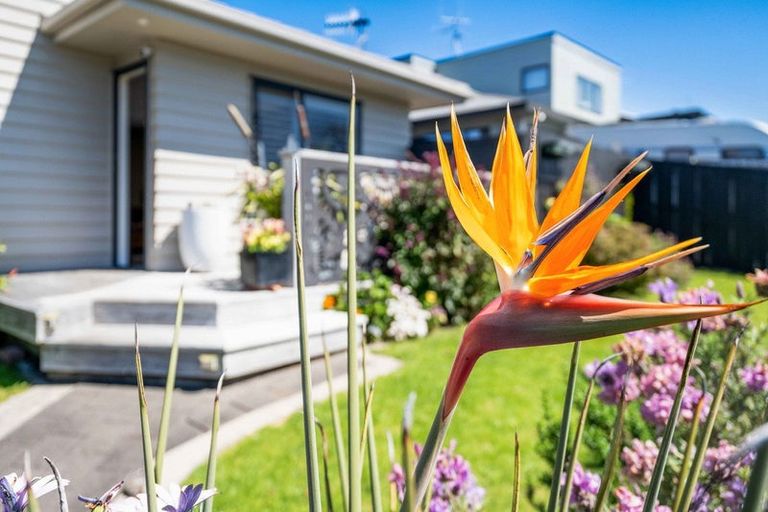 Photo of property in 40a Bayfair Drive, Mount Maunganui, 3116