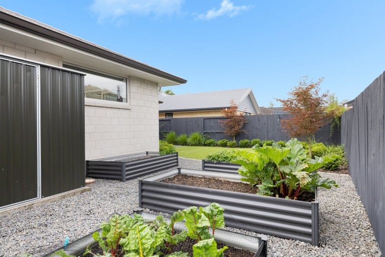 Photo of property in 21 Landing Drive, Pyes Pa, Tauranga, 3112