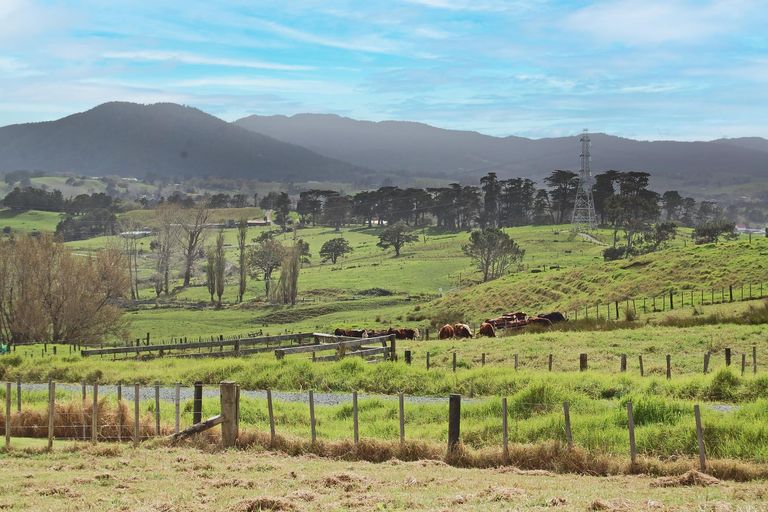 Photo of property in 210g Pukenui Road, Kaiwaka, 0573
