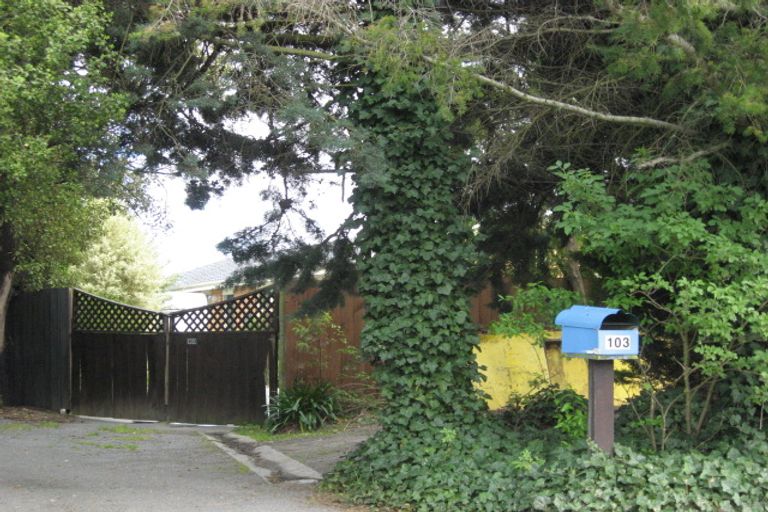 Photo of property in 103 Main North Road, Woodend, 7610