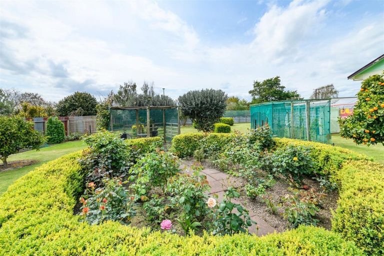 Photo of property in 201 Bridge Street, Bulls, 4818