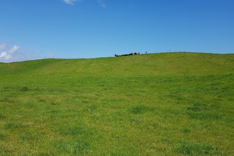 Photo of property in 110a Colville Road, Dargaville, 0310