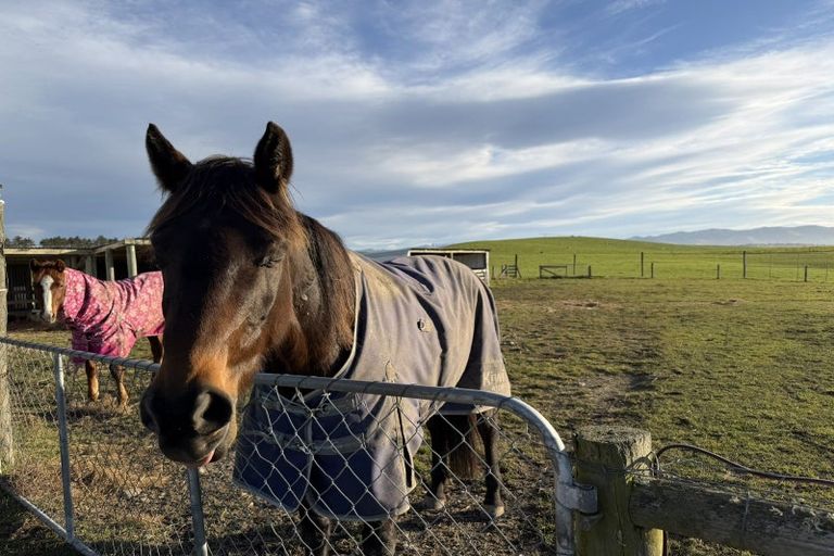 Photo of property in 23 Old Horseshoe Bend Road, Otaio, Timaru, 7971