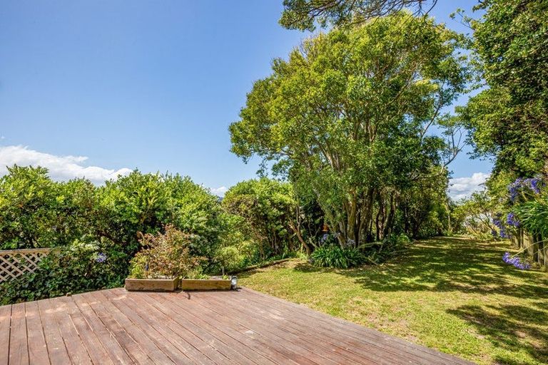 Photo of property in 137 Coromandel Street, Newtown, Wellington, 6021