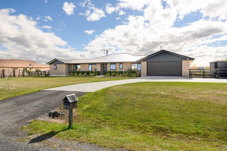 Photo of property in 14 Fallow Avenue, Feilding, 4775