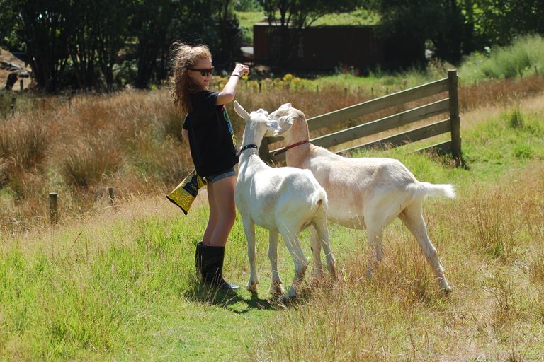 Photo of property in 521 Ahuroa Road, Puhoi, Warkworth, 0994