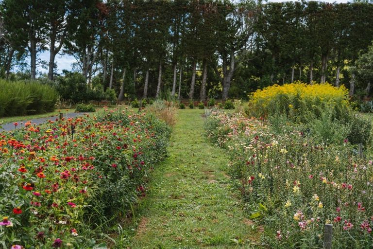 Photo of property in 259 Wainui Road South, Whakamarama, Katikati, 3181