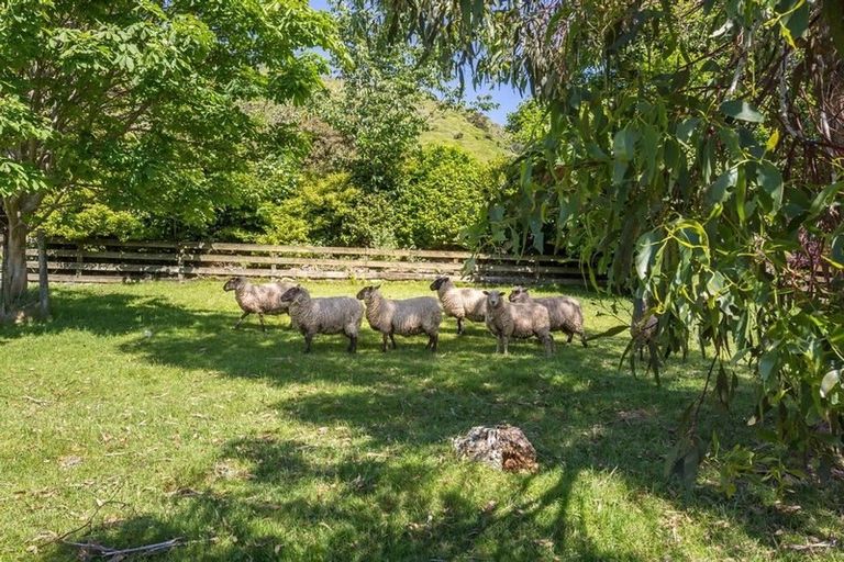 Photo of property in 243 Huia Street, Waikanae, 5391