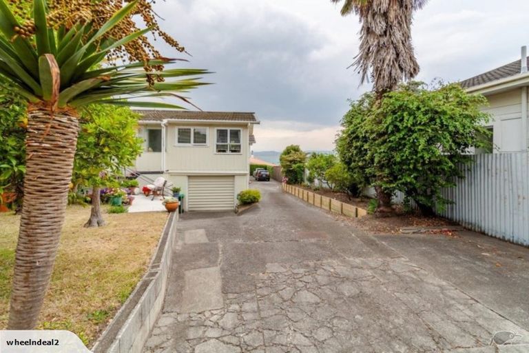 Photo of property in 1/4 George Street, Hospital Hill, Napier, 4110