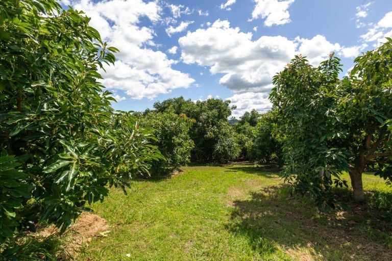 Photo of property in 63 Ongare Point Road, Tahawai, Katikati, 3170