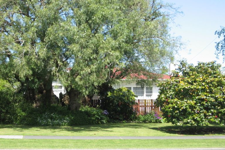 Photo of property in 125 Fox Street, Whataupoko, Gisborne, 4010