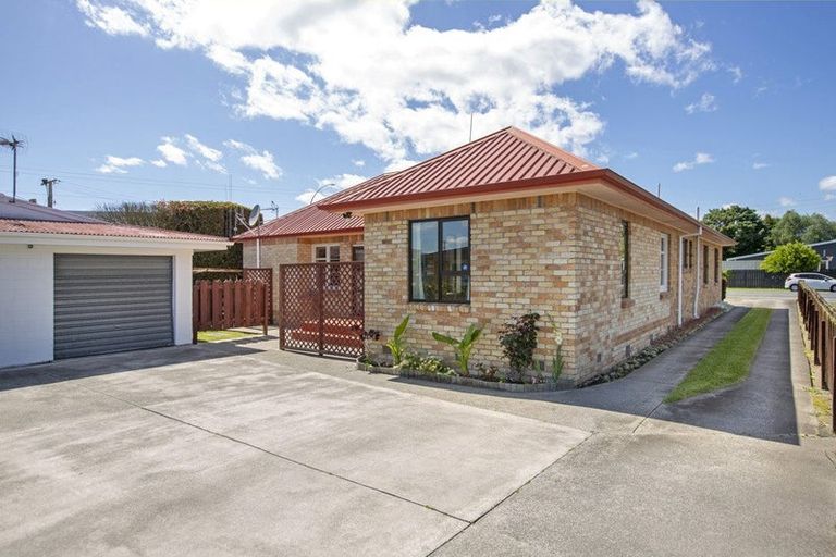 Photo of property in 95 Fifth Avenue, Enderley, Hamilton, 3214