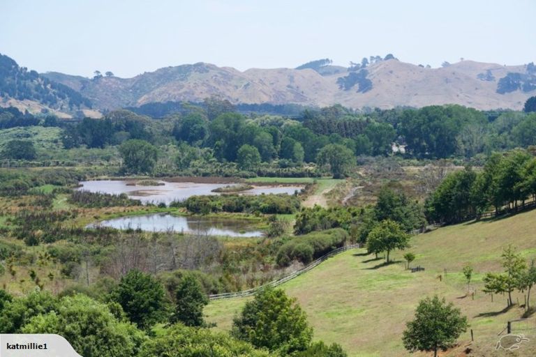 Photo of property in 93 Koutunui Road, Athenree, Katikati, 3177