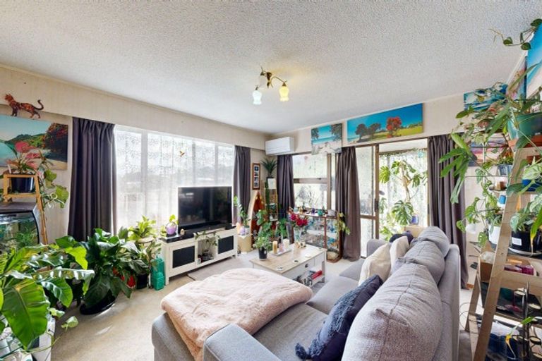 Photo of property in 59a Willoughby Street, Paeroa, 3600