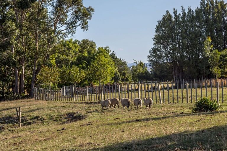 Photo of property in 142 Vogel Street, Woodville, 4920