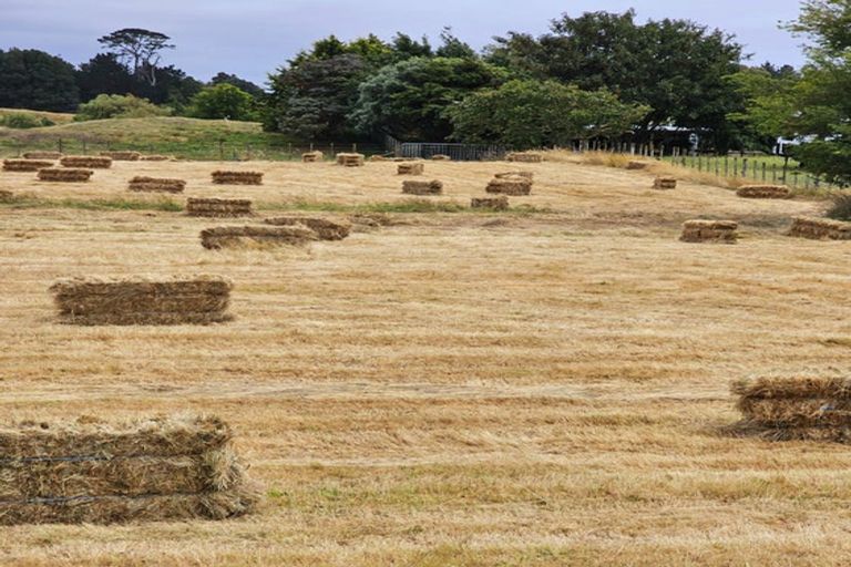 Photo of property in 965 Koputaroa Road, Koputaroa, Levin, 5575