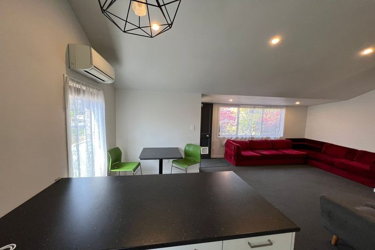 Photo of property in 130 Ulster Street, Whitiora, Hamilton, 3200