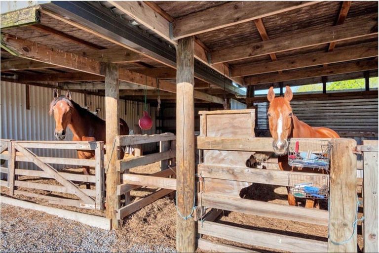 Photo of property in 151 Top Road, Dairy Flat, Albany, 0792