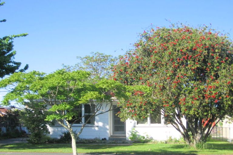 Photo of property in 40 Gordon Street, Mangapapa, Gisborne, 4010