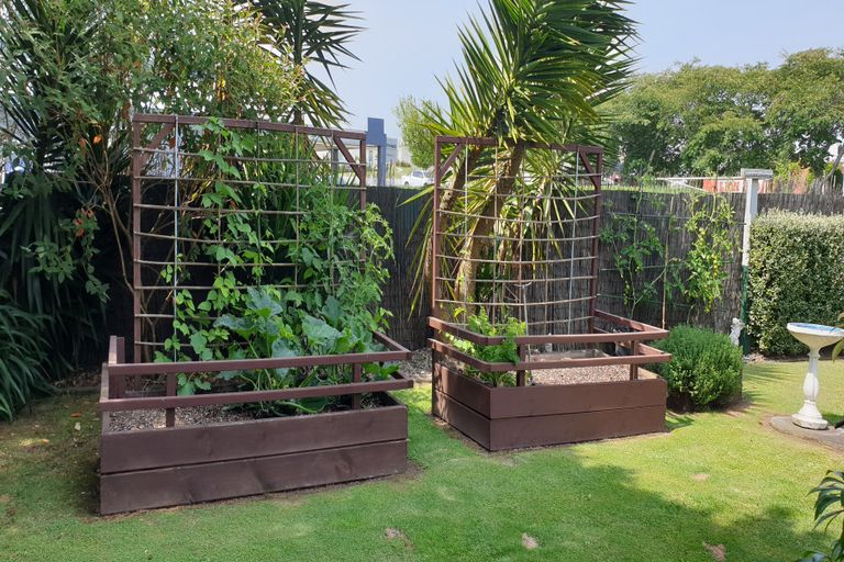 Photo of property in 9 Lyon Street, Kihikihi, Te Awamutu, 3800