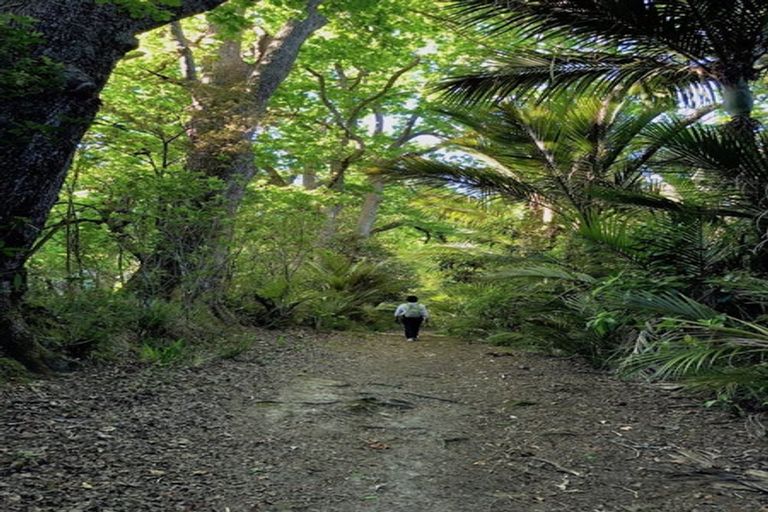 Photo of property in 27 Mceldowney Road, Titirangi, Auckland, 0604