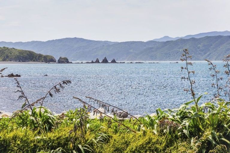 Photo of property in 167 Breaker Bay Road, Breaker Bay, Wellington, 6022