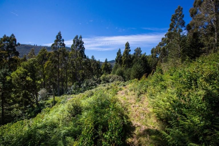 Photo of property in 533 Mount Cargill Road, Mount Cargill, Waitati, 9085