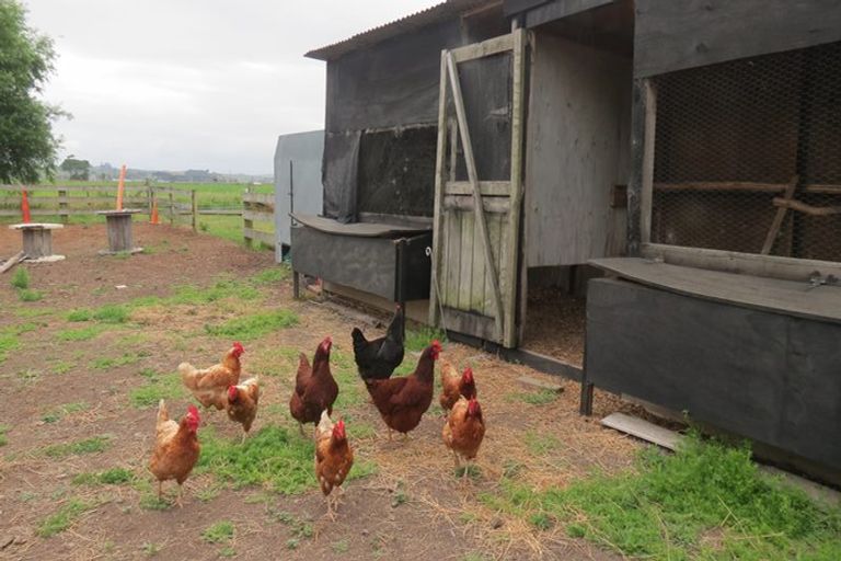 Photo of property in 39 Notorious Road West, Dargaville, 0371