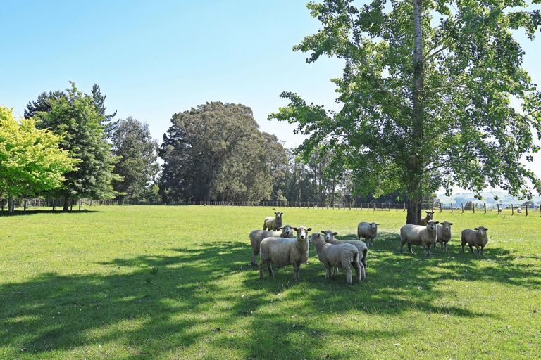 Photo of property in 308 Opaki Kaiparoro Road, Kopuaranga, Masterton, 5882