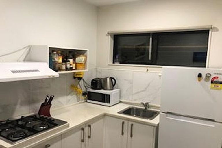 Photo of property in 253 Murphys Road, Flat Bush, Auckland, 2019