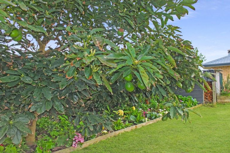 Photo of property in 62 Andrews Street, Foxton Beach, Foxton, 4815