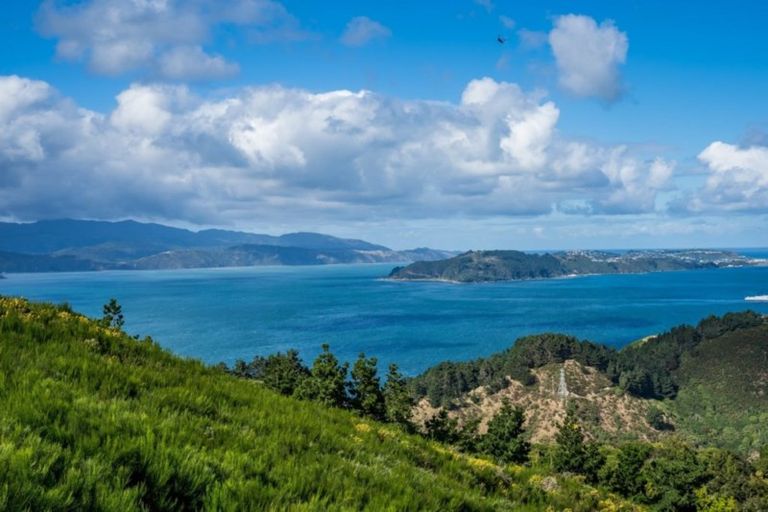 Photo of property in 10 Cessna Way, Newlands, Wellington, 6037