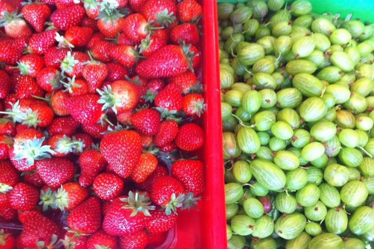 Photo of property in 781 Outram-mosgiel Road, Riverside, Mosgiel, 9073