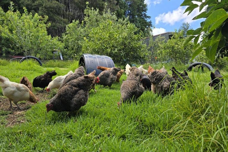 Photo of property in 656 Takahue Road, Takahue, Kaitaia, 0481