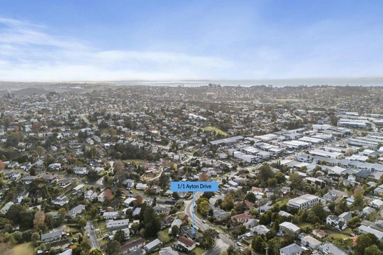 Photo of property in 1/6 Ellice Road, Totara Vale, Auckland, 0629