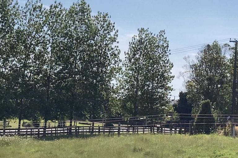 Photo of property in 123 Colville Road, Dargaville, 0377