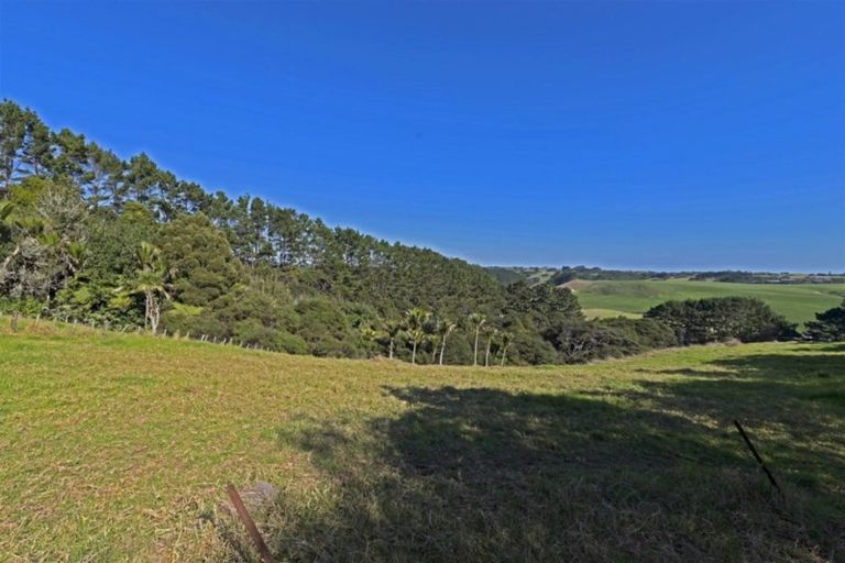 Photo of property in 195 Taiapa Road, Muriwai, Waimauku, 0881