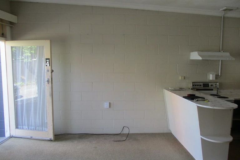 Photo of property in 19 Devon Street, Levin, 5510