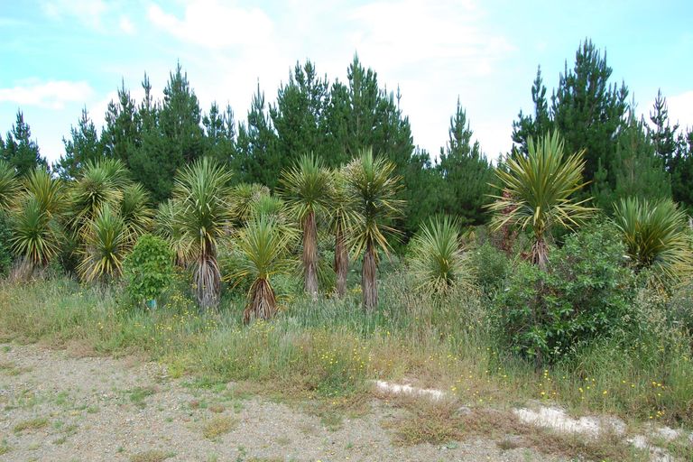 Photo of property in 960a Oneriri Road, Kaiwaka, 0573