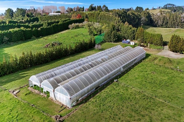 Photo of property in 484c Wright Road, Aongatete, 3181