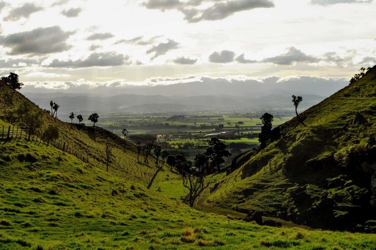 Photo of property in 499 Admiral Road, Admiral Hill, Gladstone, 5883