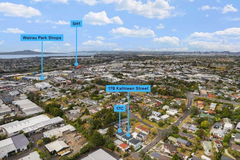 Photo of property in 17b Kathleen Street, Totara Vale, Auckland, 0627
