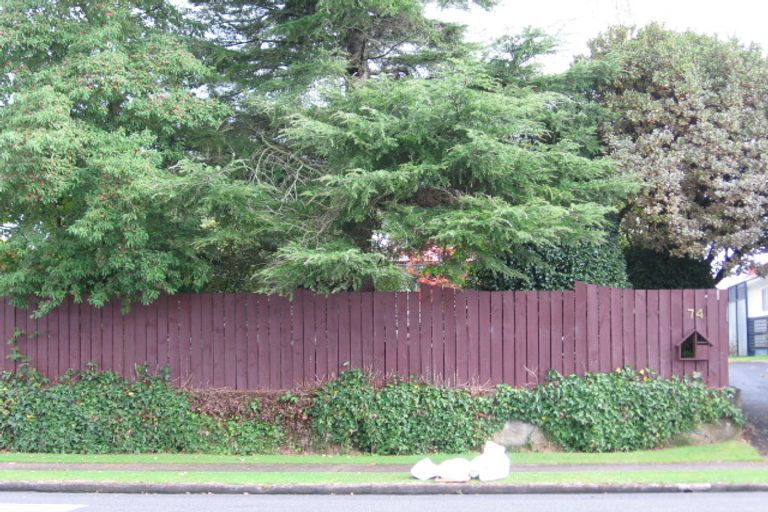 Photo of property in 74 Papanui Street, Tokoroa, 3420