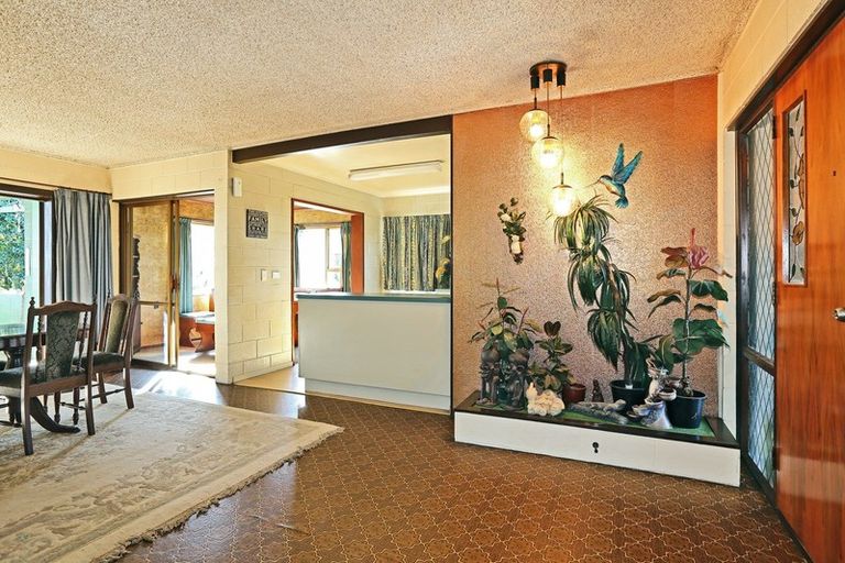 Photo of property in 500 Poplar Place, Akina, Hastings, 4122