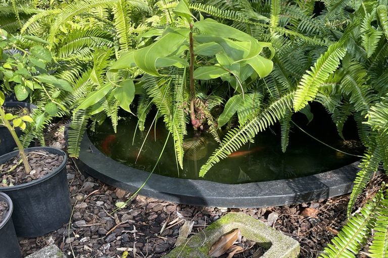 Photo of property in 88 Canongate Street, Birkdale, Auckland, 0626