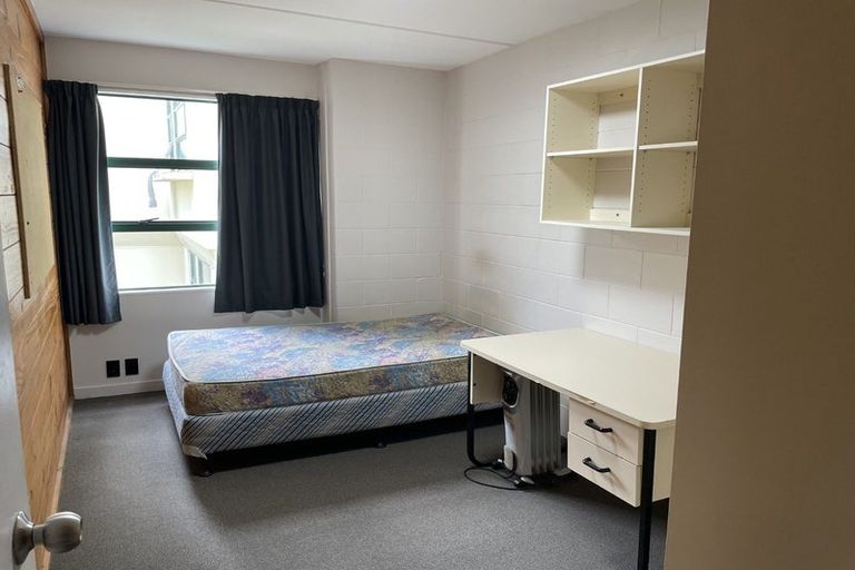 Photo of property in Te Awhina Apartments, 27/22 Sussex Street, Mount Cook, Wellington, 6021