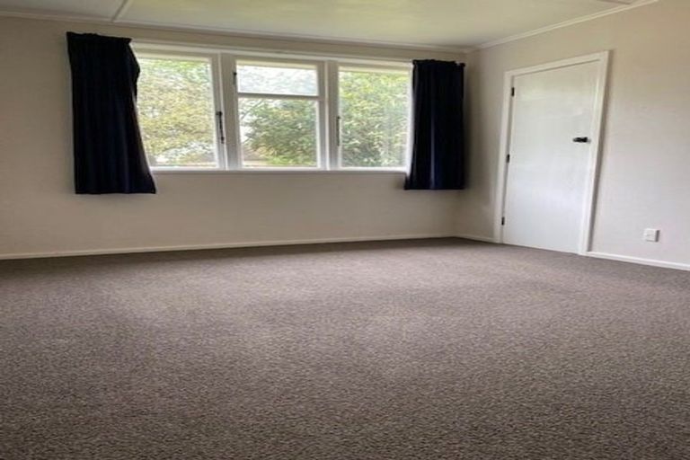 Photo of property in 1103 Jellicoe Street, Mayfair, Hastings, 4122