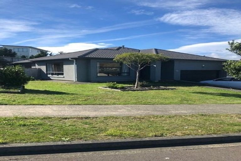 Photo of property in 66 Te Puia Drive, Aotea, Porirua, 5024